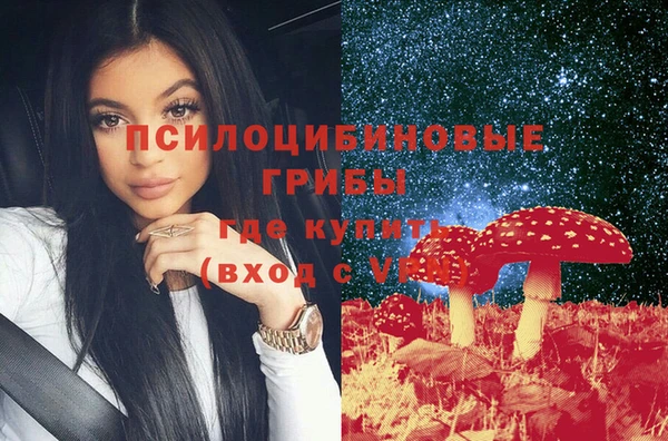 тгк Медногорск