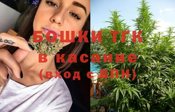 тгк Медногорск