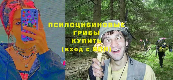молекула духа Медвежьегорск