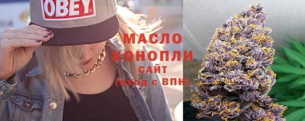 молекула духа Медвежьегорск