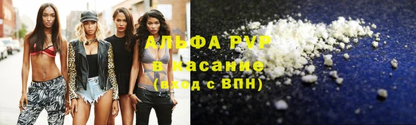 молекула духа Медвежьегорск